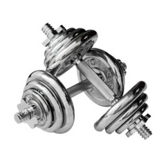 20kg Chromed Dumbbell Set Of Two - Not In Original Box