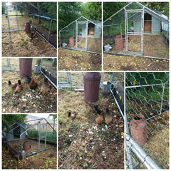 BUNDLE: Ladies' Quarters Chicken Coop + 6x3m Hen Run - Save 5%