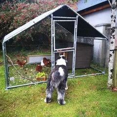 4x3m Double-Bay Galvanised Hen Run Bundle (Combined Unit)