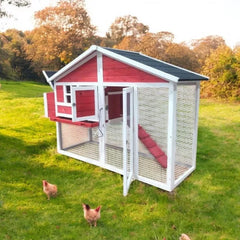 Eggs-R-Us Chicken Coop (Red) | Ideal for 4-6 Hens