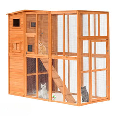 The Cat Camp