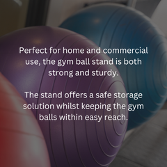 Yoga Ball Storage Rack Vertical | Heavy-Duty Space-Saving Stability Ball Holder for Gym & Home