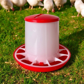 Small Poultry Feeder – Durable, Weather-Resistant Feeder for Chickens, Ducks & Farm Birds