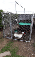3m x 2m X 2m - 10ft x 6.6ft x 6.6ft - Dog Run – Heavy Duty 33m Bars With Free Roof Cover