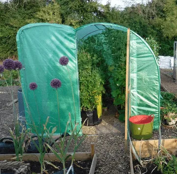3x2x2m Polytunnel Pro Galvanised With Door