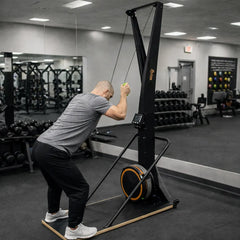 Ski Trainer with Stand