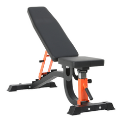 Beginner Strength Bundle