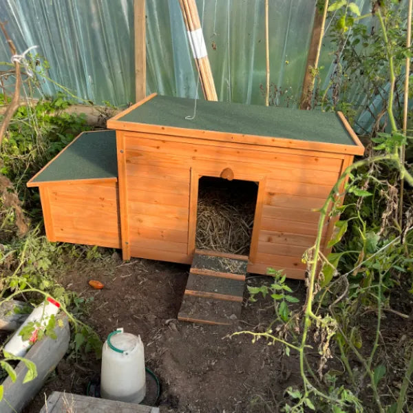 Captain Coop Chicken Coop – 6-8 Birds Natural - Return - Slight Damage
