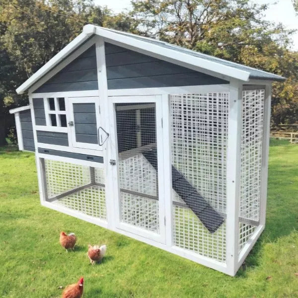 Eggs-R-Us Chicken Coop (Grey) | Ideal for 4-6 Hens