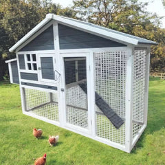 Eggs-R-Us Chicken Coop (Grey) | Ideal for 4-6 Hens