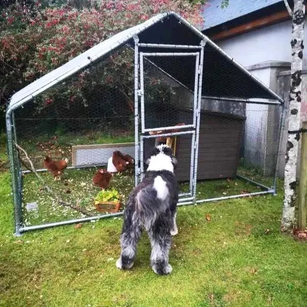 4x3m Double-Bay Galvanised Hen Run Bundle (Combined Unit)