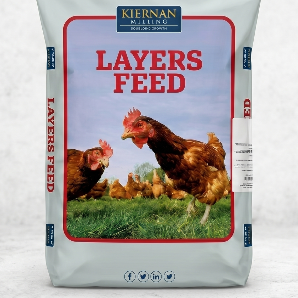 Layers Feed  -  20Kg Bag- Irish Milled