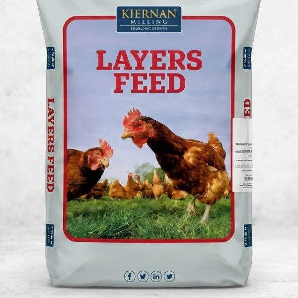 Layers Feed  -  20Kg Bag- Irish Milled