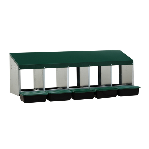 Premium 5-Compartment Chicken Nesting Box | Plastic Floor Laying Nest