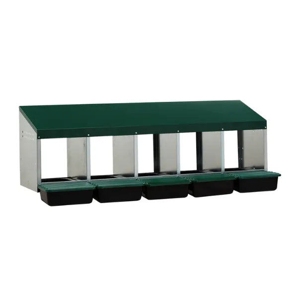 Premium 5-Compartment Chicken Nesting Box | Plastic Floor Laying Nest