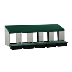Premium 5-Compartment Chicken Nesting Box | Plastic Floor Laying Nest