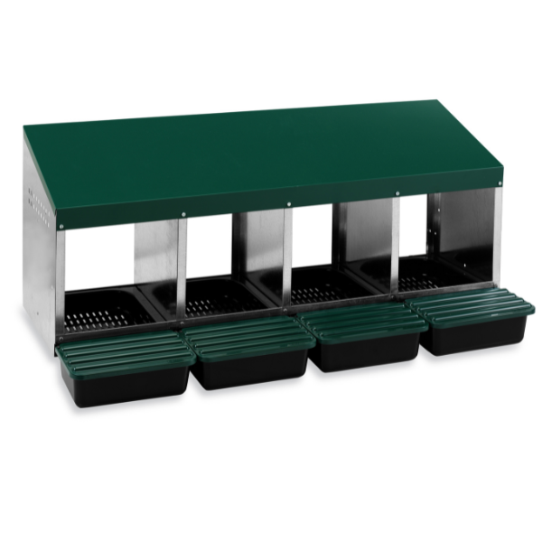 Premium 4-Compartment Chicken Nesting Box | Plastic Floor Laying Nest