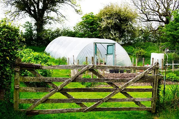 POLYTUNNELS