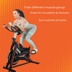 S-240 B Exercise Bike – Refurbished Display Model – Fully Assembled