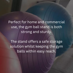 Yoga Ball Storage Rack Vertical  | Heavy-Duty Space-Saving Stability Ball Holder for Gym & Home
