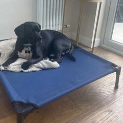 Raised Pet Bed Cot